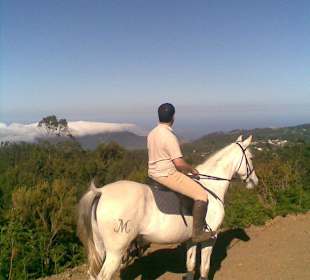 Madeira Horse Riding - Quinta do Riacho