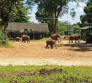 Wandern Beruwala