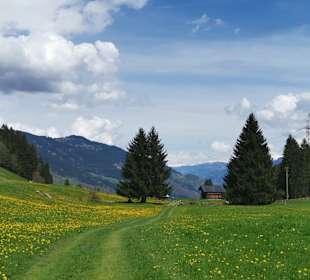 Wandern Waltensburg/Vuorz