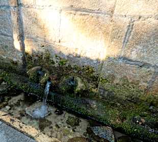 Verdreckte Heilquelle