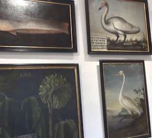 Ausstellung Sittikus