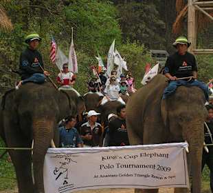 Einmarsch der Elefanten