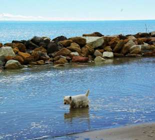 Ende September 2010 Inspirationen