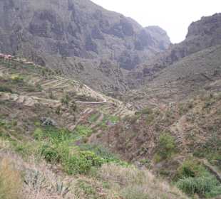 Schlucht