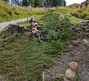 Wandern St. Johann im Pongau