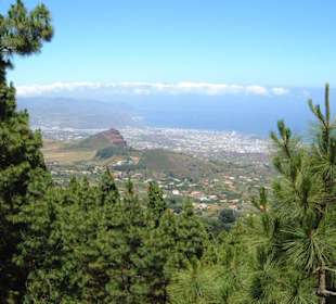 Die Hauptstadt Santa Cruz