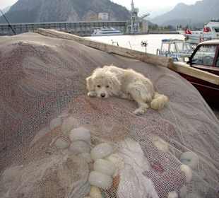 Siesta am Hafen von Antalya