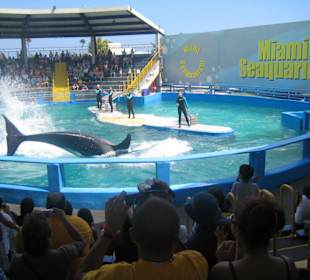 Miami Seaquarium