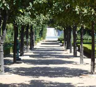Jardines de Pedro Luis Alonso