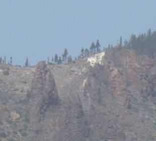 Nationalpark --> Teide