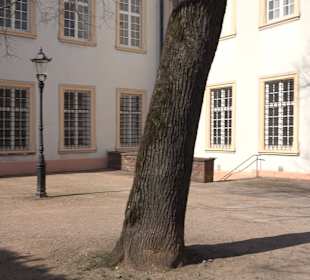 Schloss Ettlingen