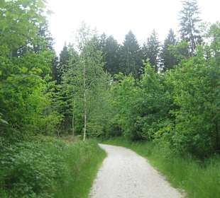 Weltwald Freising