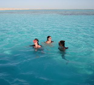 Schnorcheln beim Ausflug mit Glasbodenboot