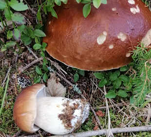 Wandern Muldenhammer