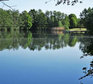 Rundgang um den Kirchhorster See