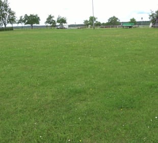 Sportplatz Weiherweg