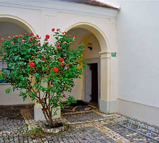 Rosengarten