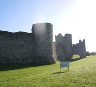 Trim Castle
