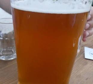 Gutes Georgbräu-Bier aus dem 1,5 Liter Pitcher