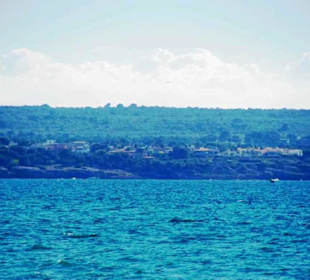 Um die Landzunge herum