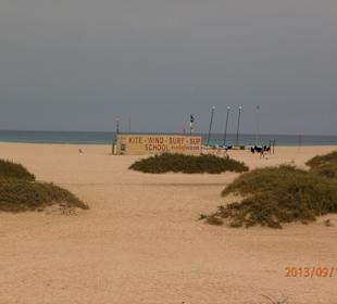 Sanddünen bei Corralejo