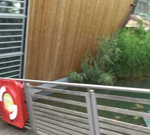 Tierpark Hellabrunn - Fische