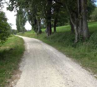 Hochgehnießen - Premiumspazierwanderweg