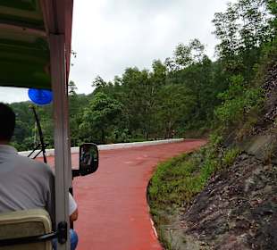 Auf dem Weg