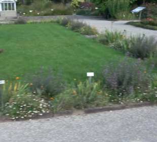 Botanischer Garten München