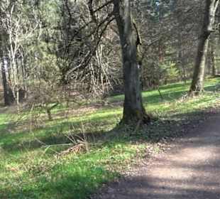 Wanderung Florianrunde