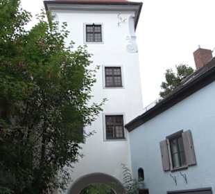 Taubenturm mit Wagenremise und Stadel