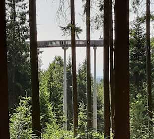 Waldwipfelweg St Englmar/Maibrunn