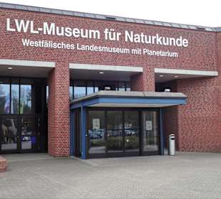 Der Eingang zum Naturkundemuseum