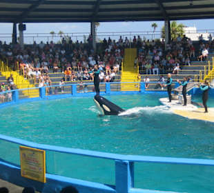 Miami Seaquarium