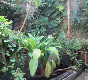 Das Schmetterlingshaus Villa Garzoni