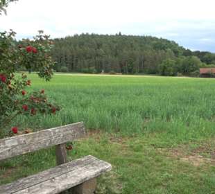 Schutzgebiet Spitzberg, Pfaffenberg