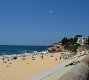 Coogee Beach