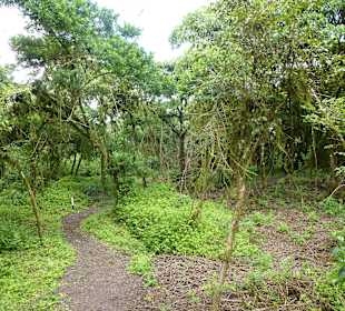 Weg zwischen den 2 Kratern