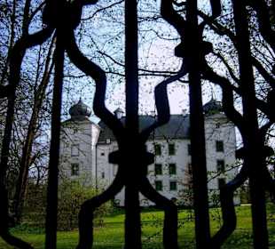 Das Schloss in Moos