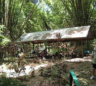 Rastplatz im Regenwald.
