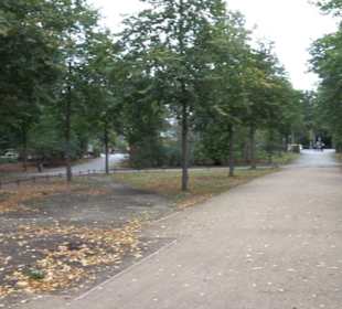 Berliner Tiergarten