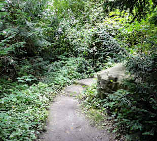 Spaziergang durch Thieles Garten