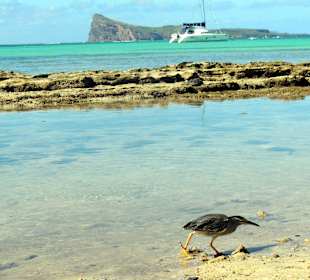 Coin de Mire mit Sicht von Bain Boeuf