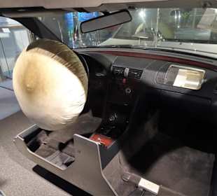 Rundgang durch das Deutsche Museum Bonn