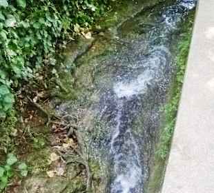 Kleines Rinnsal