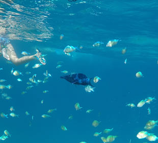 Schnorcheln Hurghada