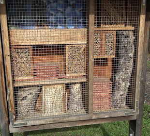 Gomaringer Rundweg - Zu den Giganten im Wald