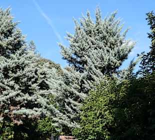 Opatija: Bei einem Bummel durch den Angiolina-Park