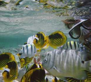 Unter Wasser