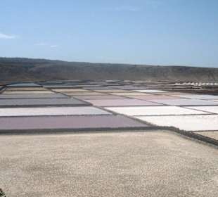 Las Salinas de Janubio